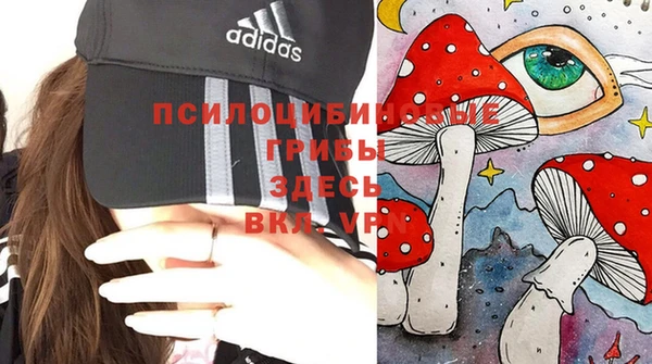 хмурый Осташков