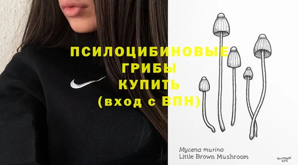 спайс Пестово