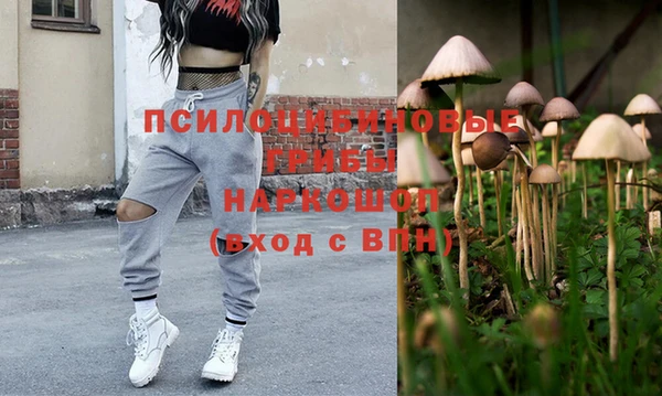 спайс Пестово