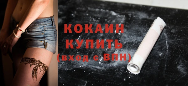 молекула духа Осинники