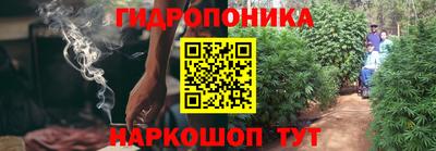 ПСИЛОЦИБИНОВЫЕ ГРИБЫ Гатчина