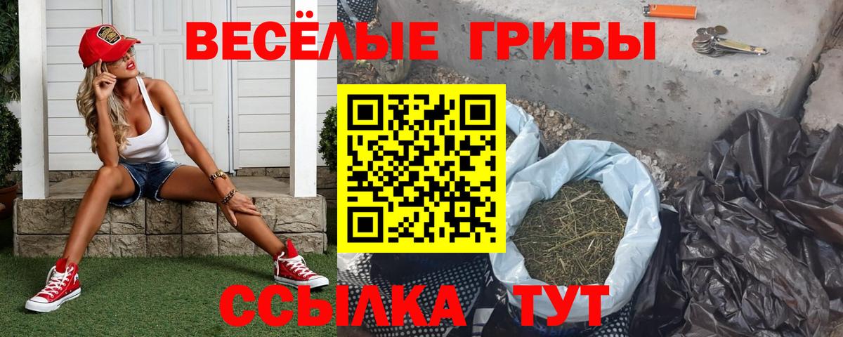 Псилоцибиновые грибы MAGIC MUSHROOMS Тавда